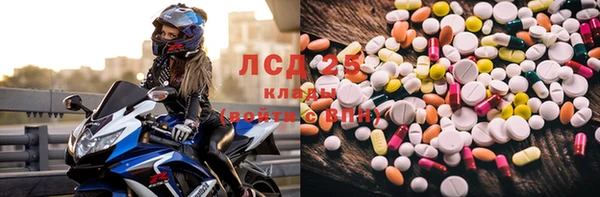 бошки Белокуриха