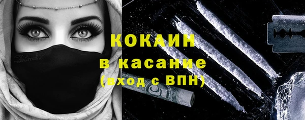 бошки Белокуриха