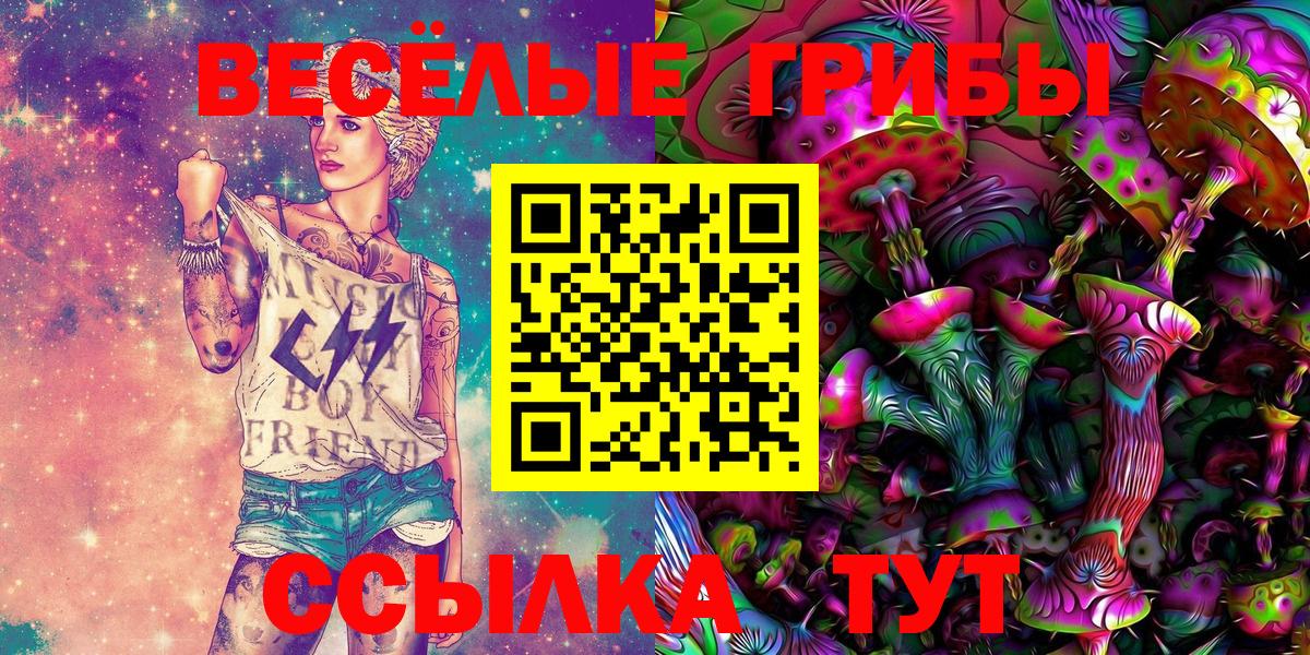 Псилоцибиновые грибы Psilocybe  Вход с VPN  Псилоцибиновые грибы Psilocybe  Богородск 