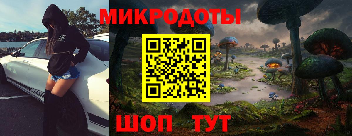 Псилоцибиновые грибы Cubensis Богородск
